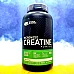 Фото Optimum Nutrition Micronized Creatine Powder