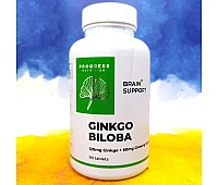 Progress Nutrition Ginkgo Biloba 120 mg + Ginseng Extracts 60 mg