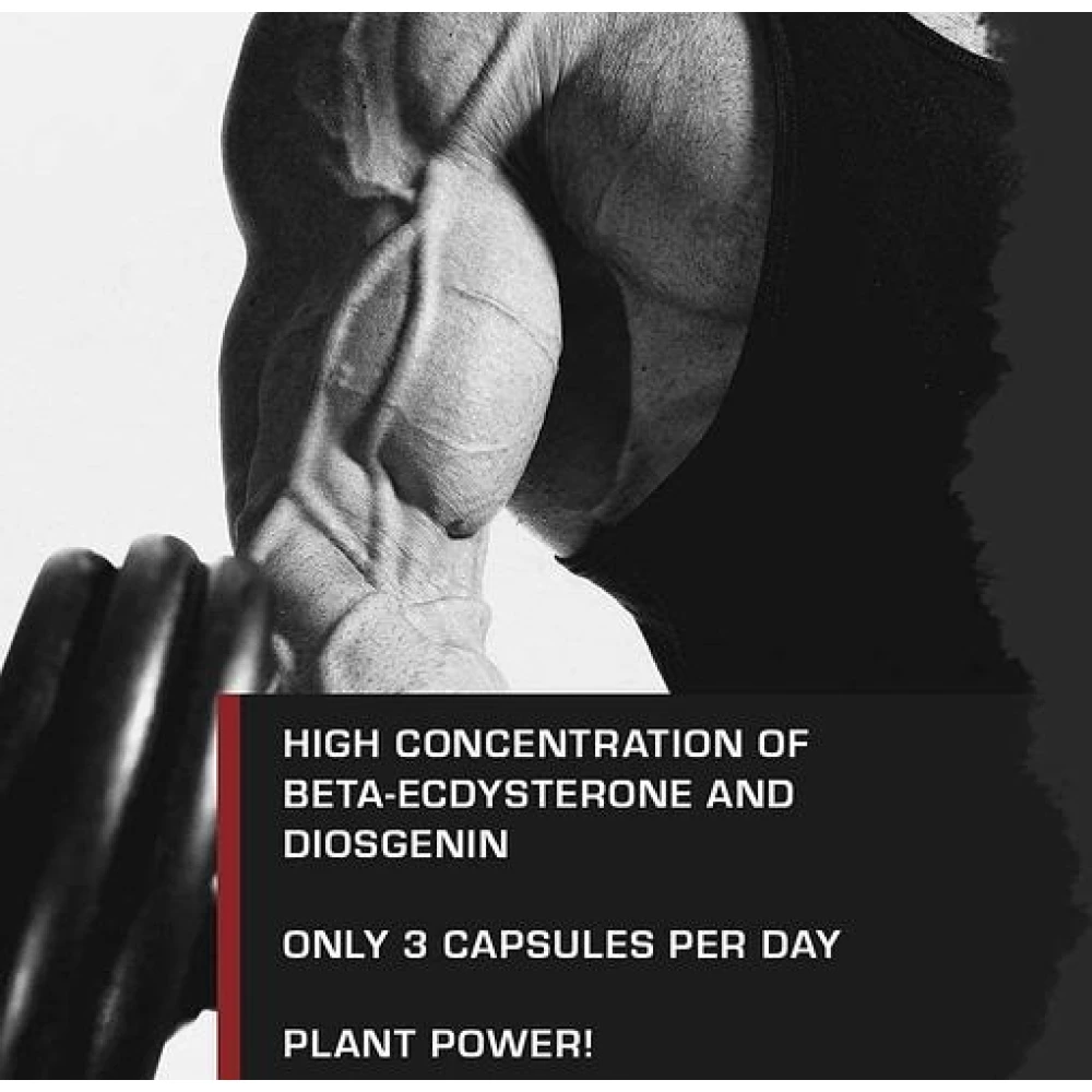 Weider Beta-Ecdysteronе