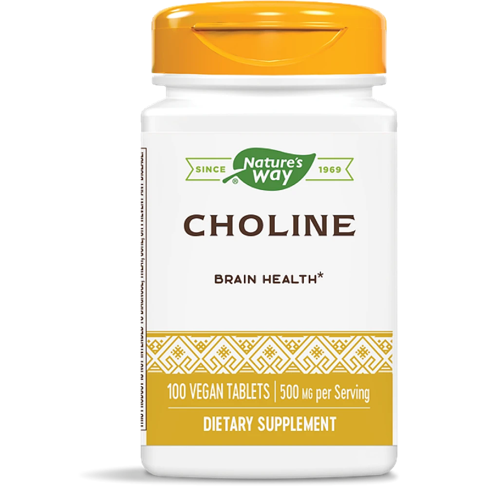 Natures Way Choline 500 mg