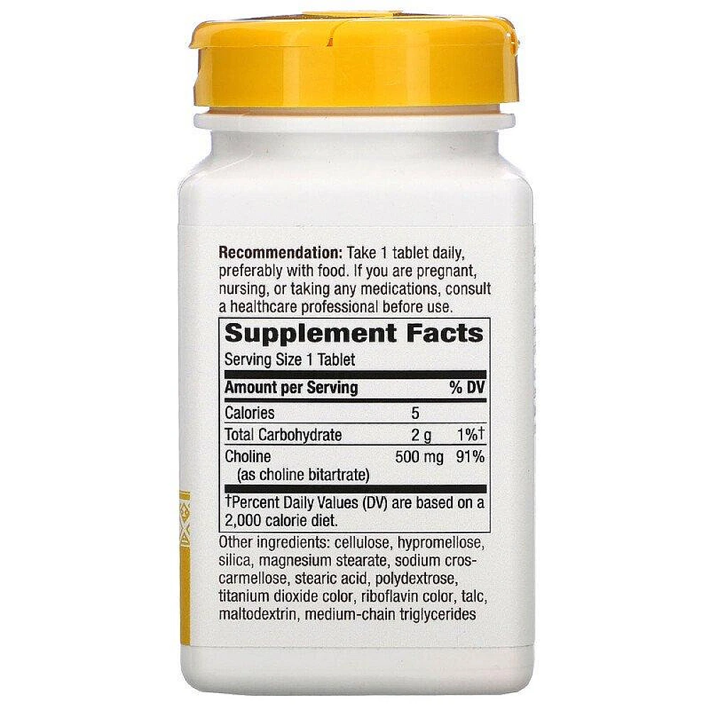 Natures Way Choline 500 mg