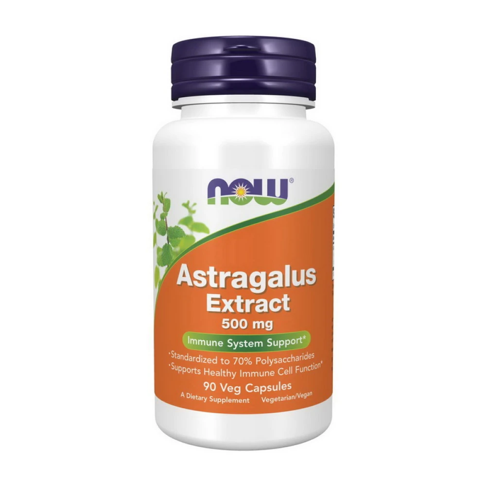 NOW Astragalus Extract 500 mg