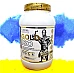Фото Kevin Levrone Gold ISO