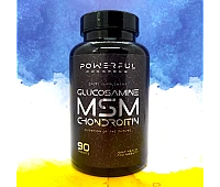 Powerful Progress Glucosamine MSM Chondroitin