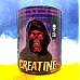 Фото Skull Labs Creatine 300 грам