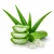 Aloe Vera (алое віра) 