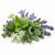Alpine Herbs (альпійські трави) 