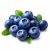 Blueberry (чорниця) 