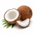 Coconut (кокос) 