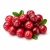 Cranberry (журавлина) 