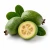 Feijoa (фейхоа) 