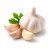 Garlic (часник) 