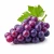 Grape (виноград) 