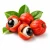 Guarana (гуарана) 