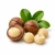 Macadamia (макадамія) 