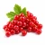 Red Currant (червона смородина) 