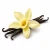 Vanilla (ваніль) 