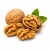 Walnut (волоський горіх) 