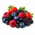 Wild Berry (дика ягода) 