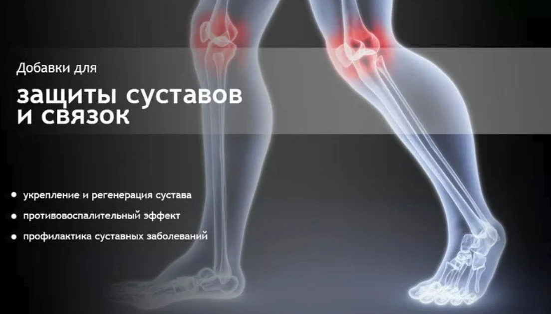 Чем хорош Nutrend Flexit Drink