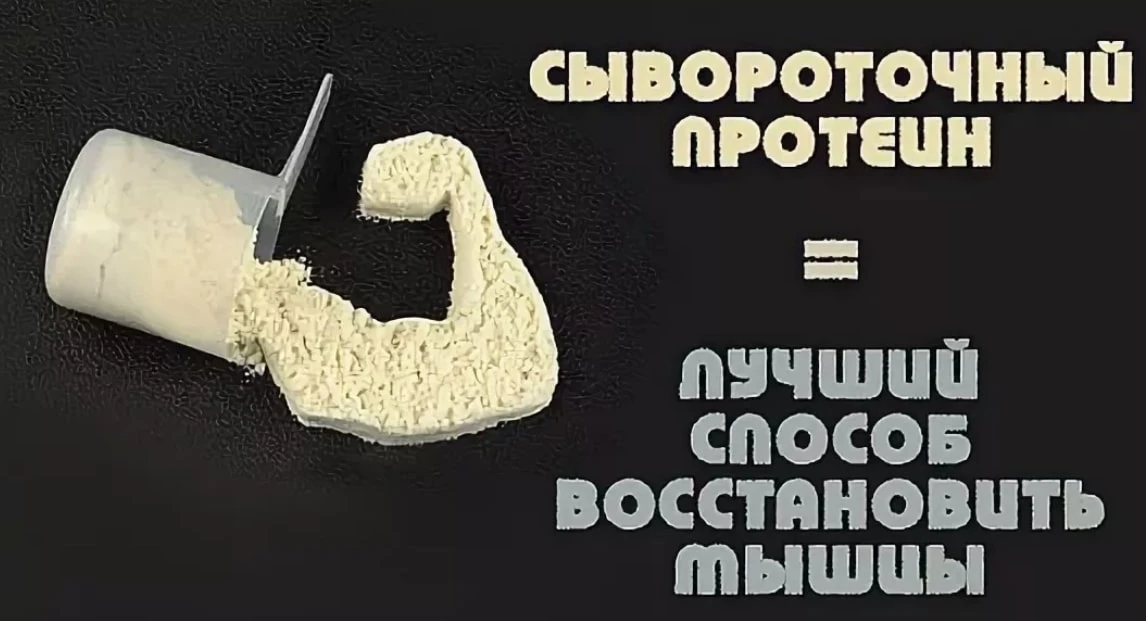 Сывороточный протеин - восстановление и рост мышц