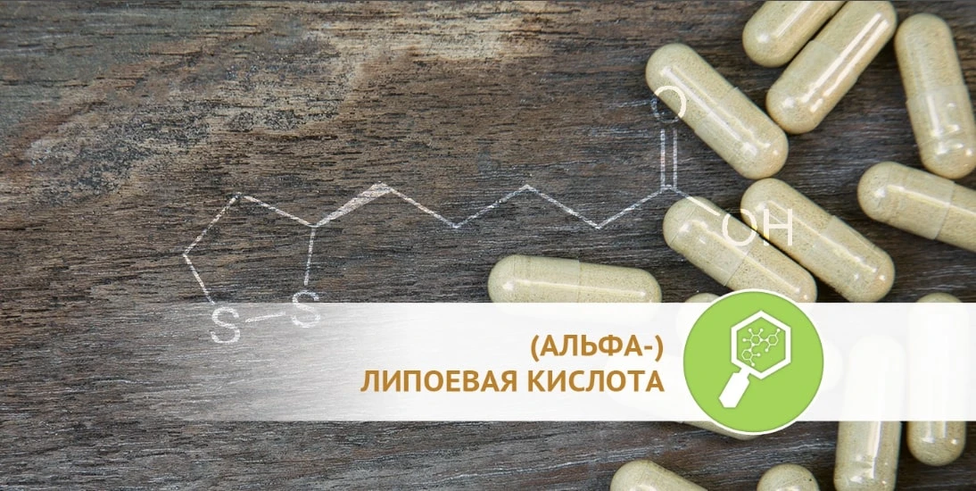 Капсулы и формула NOW ALA Фото капсул NOW ALA