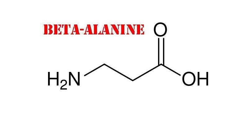 Фотография формулы Ultimate Nutrition Beta Alanine